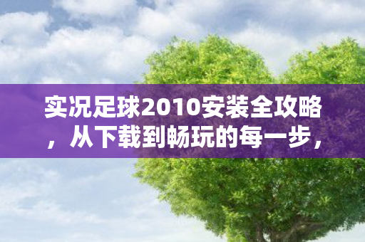 实况足球2010安装全攻略图片