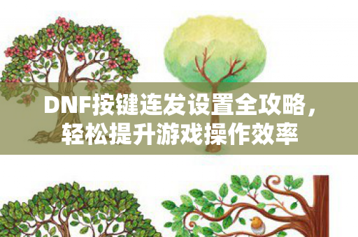 DNF按键连发设置全攻略图片