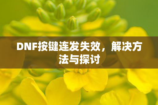 DNF按键连发失效图片