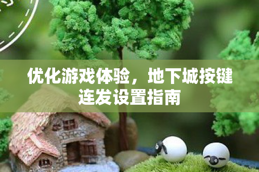 地下城按键连发设置指南图片