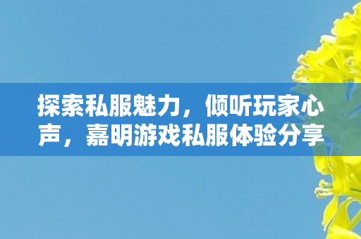 探索私服魅力,倾听玩家心声,嘉明游戏私服体验分享 探索私服魅力,倾听玩家心声,嘉明游戏私服体验分享