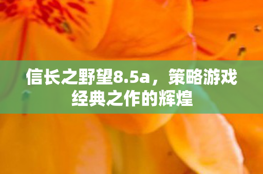 策略游戏经典之作的辉煌图片