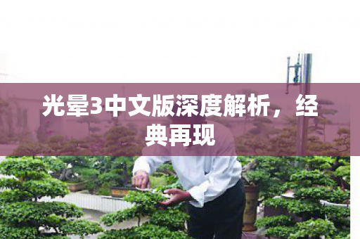光晕3中文版深度解析图片