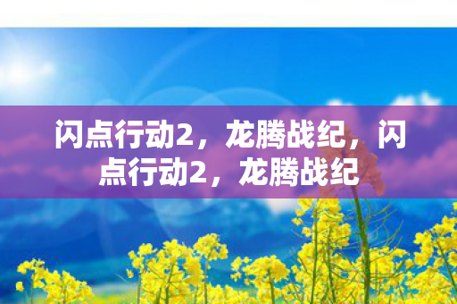 闪点行动2图片