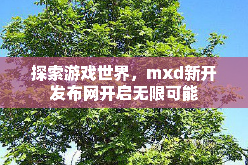 mxd新开发布网开启无限可能图片