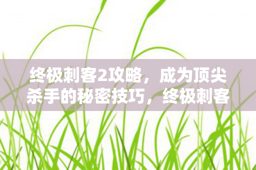 成为顶尖杀手的秘密技巧图片