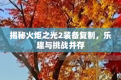 揭秘火炬之光2装备复制图片