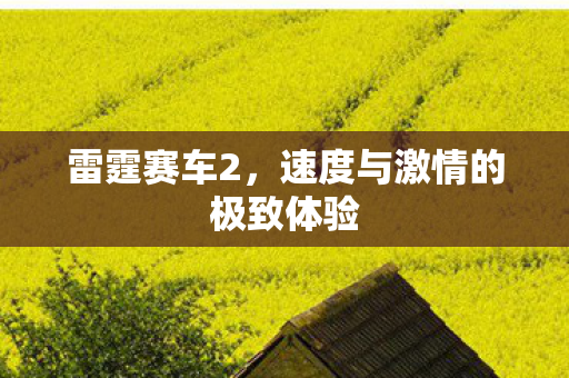 雷霆赛车2,速度与激情的极致体验 雷霆赛车2,速度与激情的极致体验