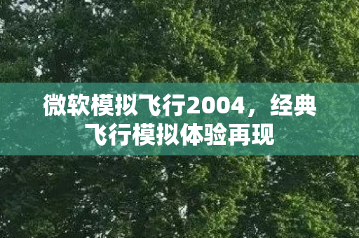 微软模拟飞行2004,经典飞行模拟体验再现 微软模拟飞行2004,经典飞行模拟体验再现