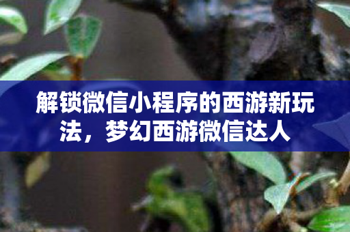 解锁微信小程序的西游新玩法,梦幻西游微信达人 解锁微信小程序的西游新玩法,梦幻西游微信达人