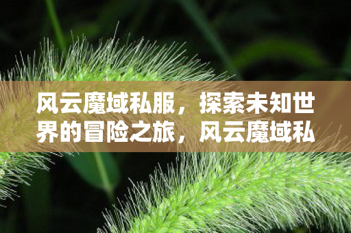 探索未知世界的冒险之旅图片