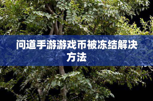 问道手游游戏币被冻结解决方法图片