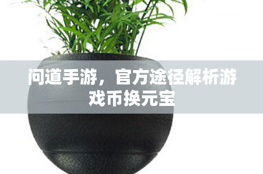 官方途径解析游戏币换元宝图片