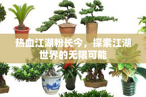 热血江湖粉长今,探索江湖世界的无限可能 热血江湖粉长今,探索江湖世界的无限可能