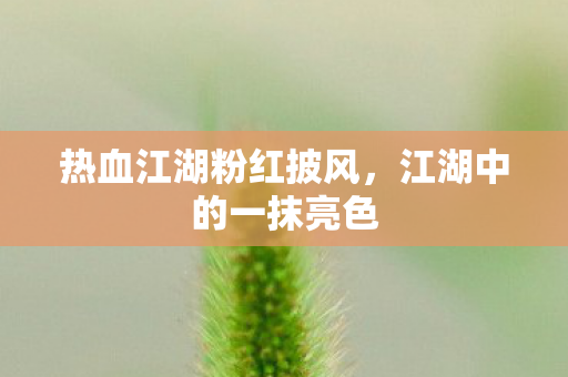 热血江湖粉红披风,江湖中的一抹亮色 热血江湖粉红披风,江湖中的一抹亮色