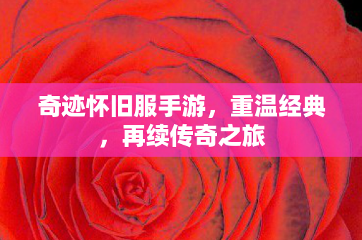 奇迹怀旧服手游,重温经典,再续传奇之旅 奇迹怀旧服手游,重温经典,再续传奇之旅