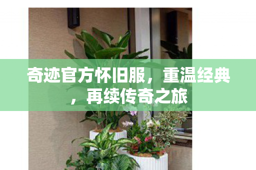 奇迹官方怀旧服，重温经典，再续传奇之旅
