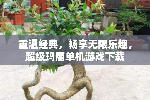 重温经典，畅享无限乐趣，超级玛丽单机游戏下载