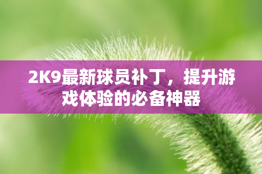 2K9最新球员补丁,提升游戏体验的必备神器 2K9最新球员补丁,提升游戏体验的必备神器
