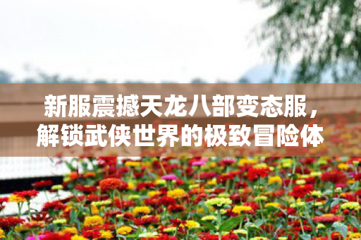 新服震撼天龙八部变态服，解锁武侠世界的极致冒险体验