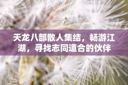 天龙八部散人集结，畅游江湖，寻找志同道合的伙伴