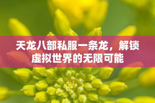 天龙八部私服一条龙,解锁虚拟世界的无限可能 天龙八部私服一条龙,解锁虚拟世界的无限可能