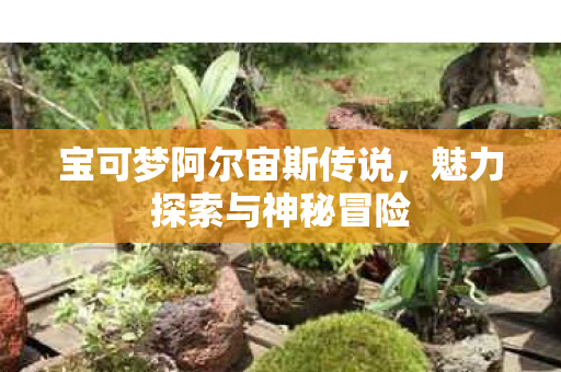 宝可梦阿尔宙斯传说,魅力探索与神秘冒险 宝可梦阿尔宙斯传说,魅力探索与神秘冒险