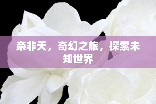 奈非天,奇幻之旅,探索未知世界 奈非天,奇幻之旅,探索未知世界
