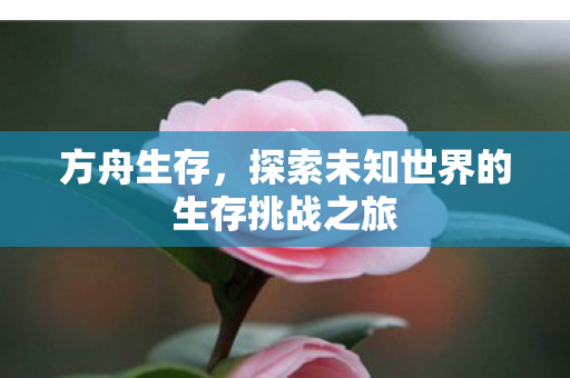 方舟生存,探索未知世界的生存挑战之旅 方舟生存,探索未知世界的生存挑战之旅