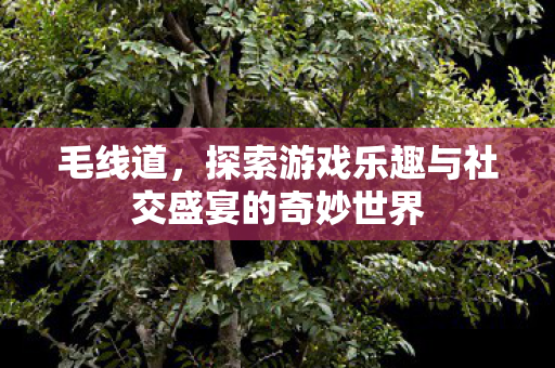 探索游戏乐趣与社交盛宴的奇妙世界图片