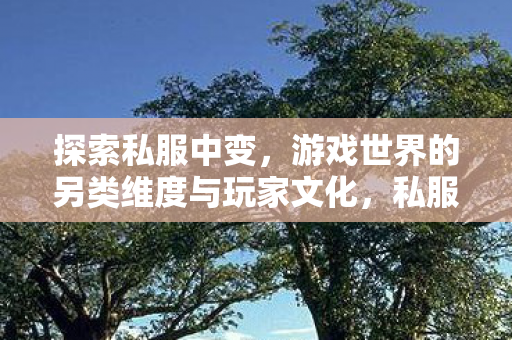 探索游戏世界的另类维度与玩家文化图片