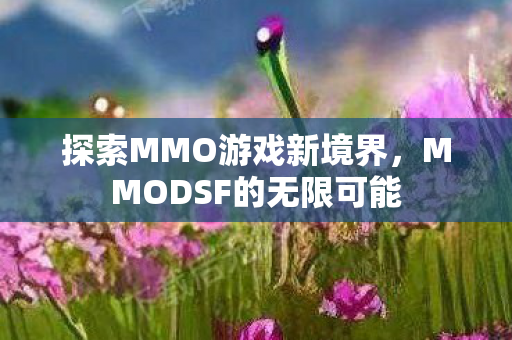 MMODSF的无限可能图片