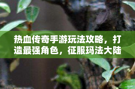 热血传奇手游玩法攻略图片