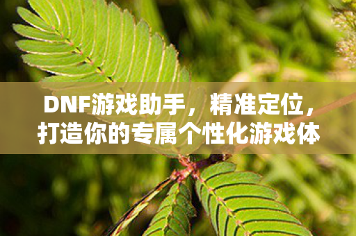DNF游戏助手,精准定位,打造你的专属个性化游戏体验 DNF游戏助手,精准定位,打造你的专属个性化游戏体验