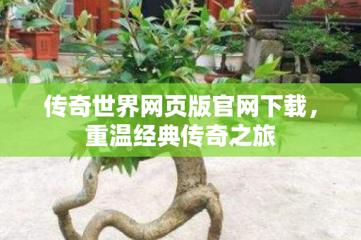 传奇世界网页版官网下载图片