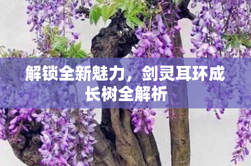 剑灵耳环成长树全解析图片