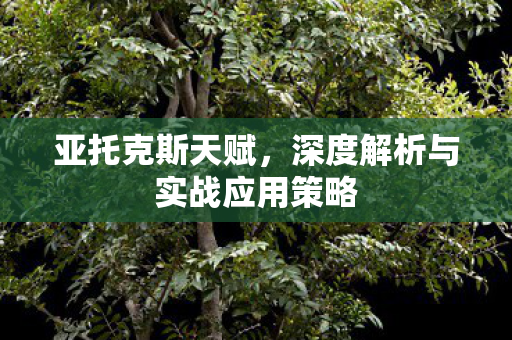深度解析与实战应用策略图片