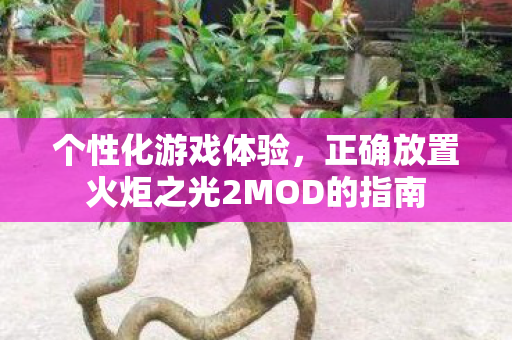 正确放置火炬之光2MOD的指南图片
