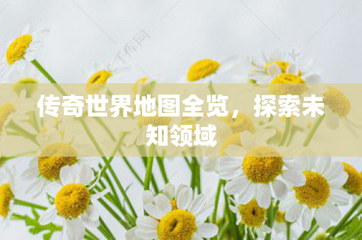 传奇世界地图全览图片