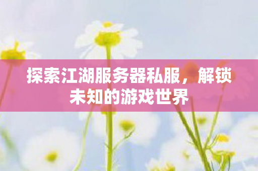 探索江湖服务器私服图片
