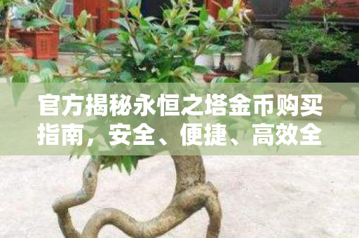 官方揭秘永恒之塔金币购买指南图片