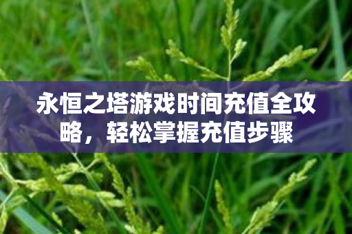 永恒之塔游戏时间充值全攻略图片