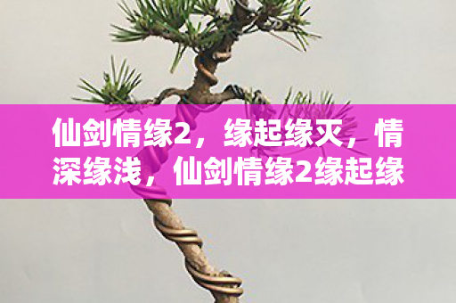 仙剑情缘2缘起缘灭图片