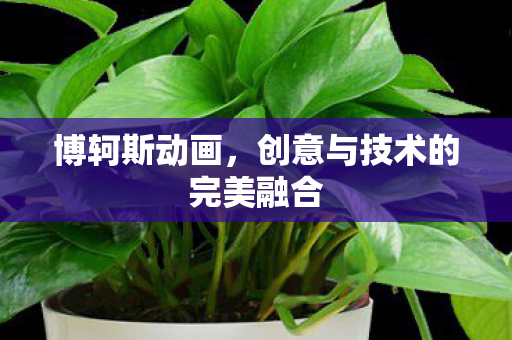 创意与技术的完美融合图片