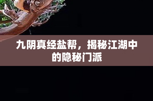 揭秘江湖中的隐秘门派图片