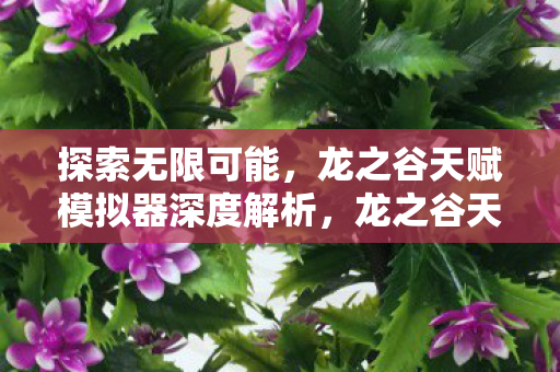 龙之谷天赋模拟器深度解析图片