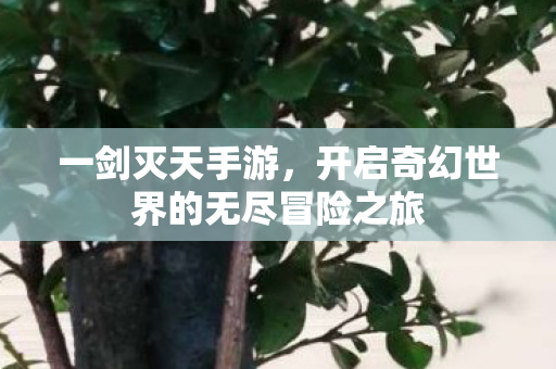 开启奇幻世界的无尽冒险之旅图片
