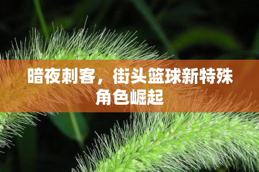 街头篮球新特殊角色崛起图片