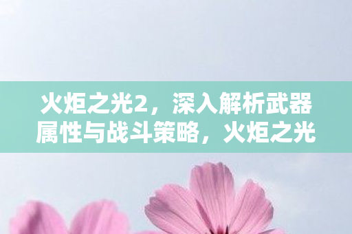 火炬之光2武器属性与战斗策略深度剖析图片