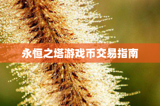 永恒之塔游戏币交易指南图片